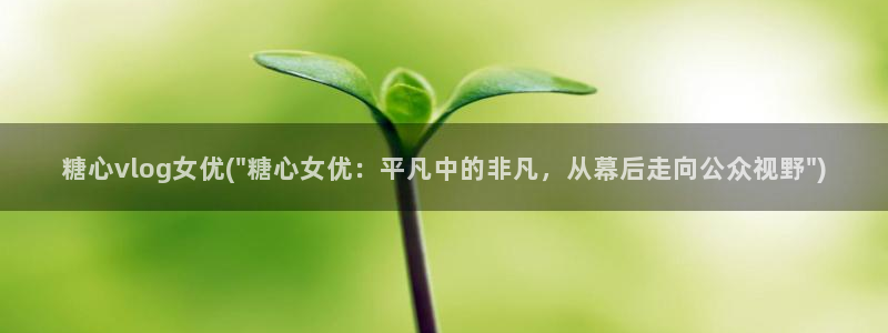 糖心vlog露出:糖心vlog女优(\