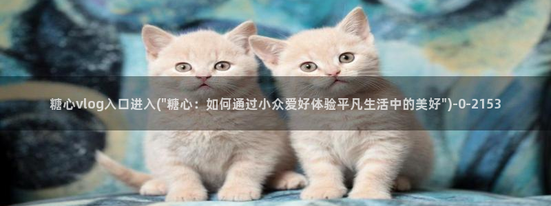 橘子猫糖心vlog迅雷:糖心vlog入口