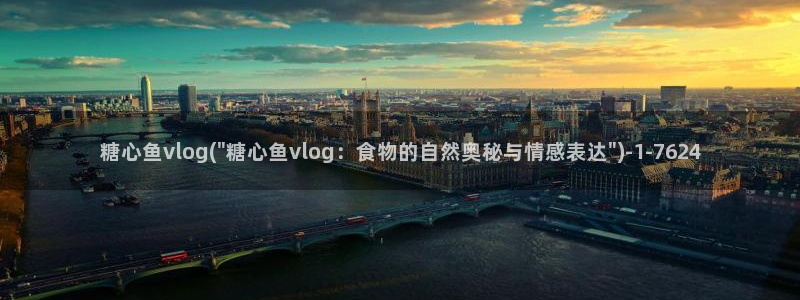 糖心vlog原神:糖心鱼vlog(\