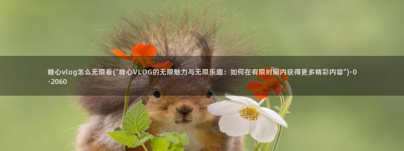 糖心vlog驯鹿:糖心vlog怎么无限看